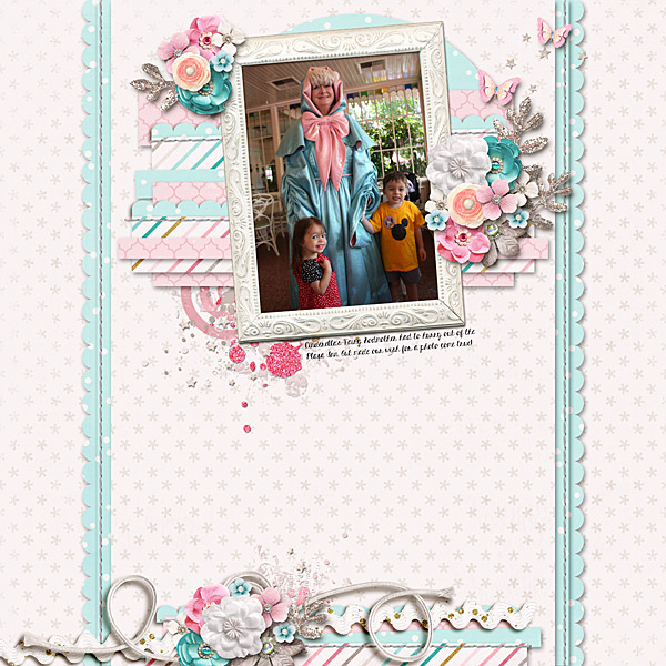 Cinderella's Fairy Godmother