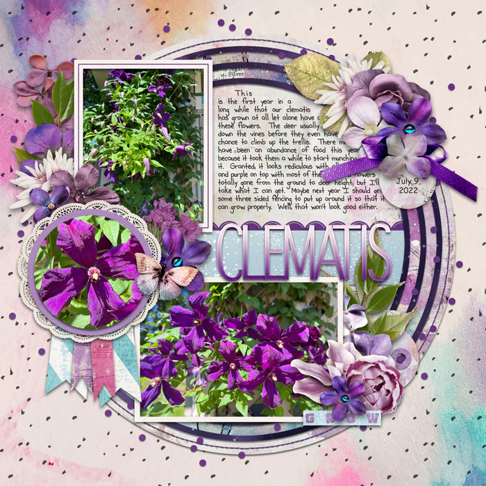 Clematis