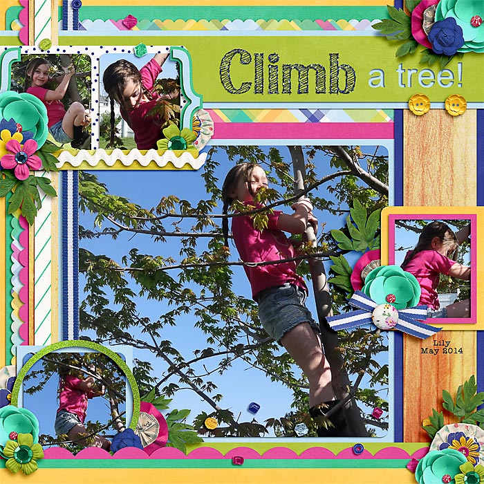 Climb a Tree