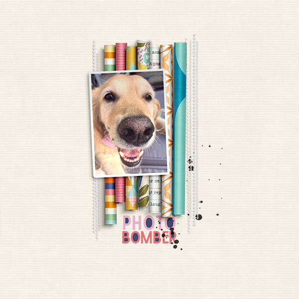 cmg-camera-ham-Tracy