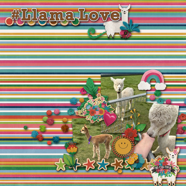 cmg_llamalove-stripe-web