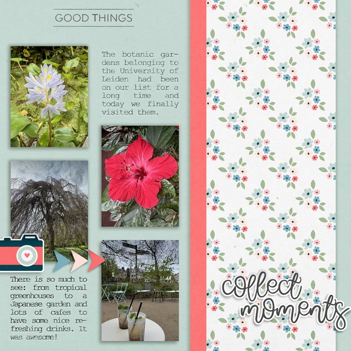 Collect Moments: Spring 2026