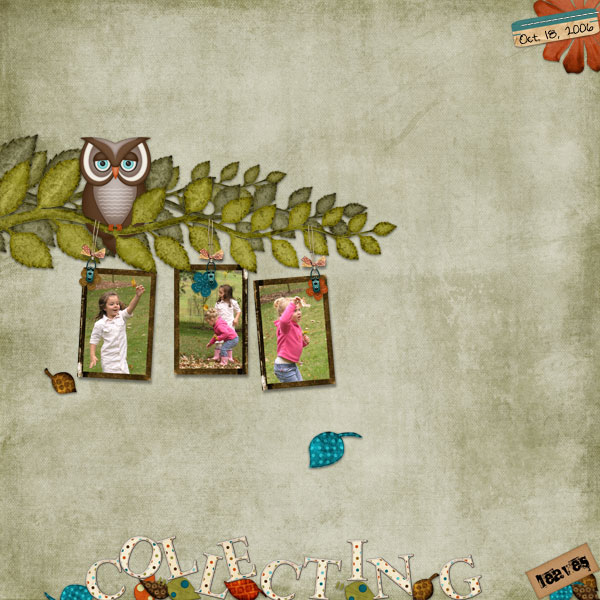 Collecting Leaves