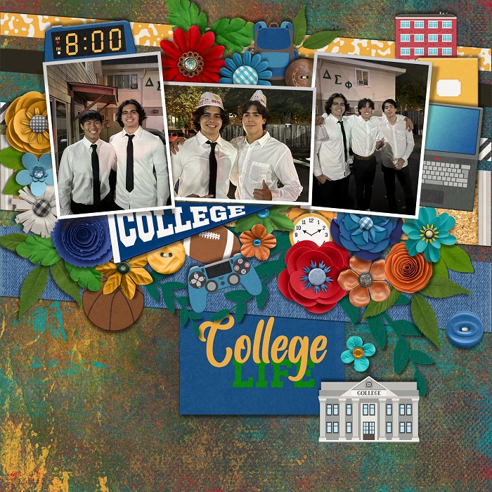 COLLEGE LIFE