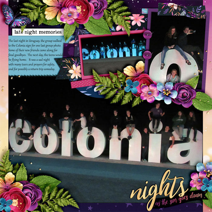 Colonia Group at Night