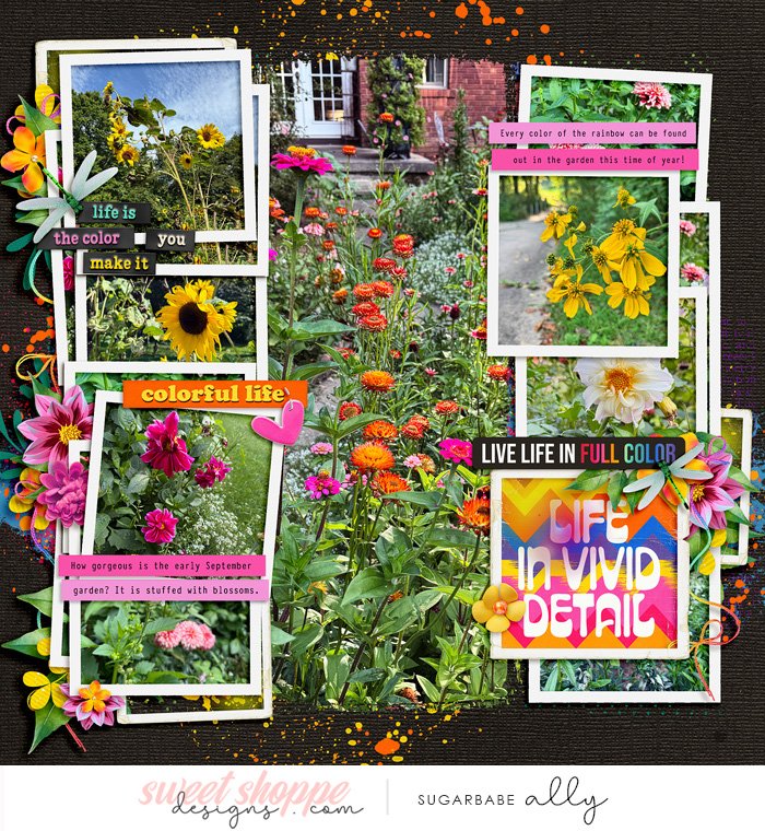 Colorful Life