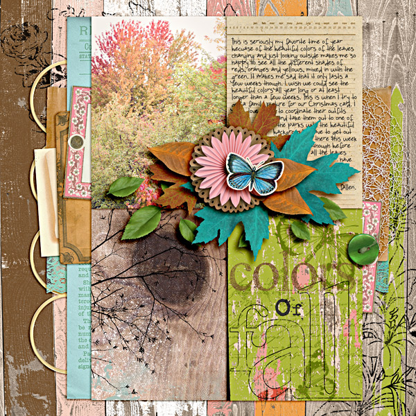Colors Of Fall