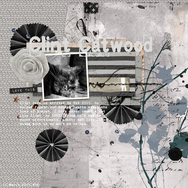 Colour: Clint Catwood