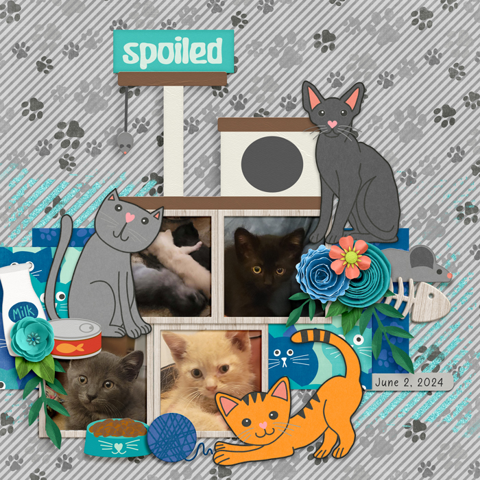 Connect Four Kittens