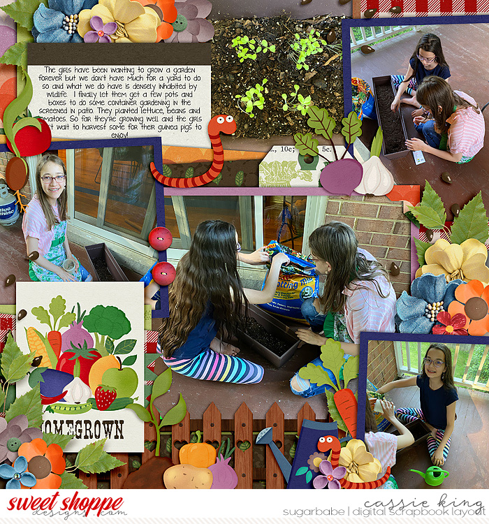 Container Gardening