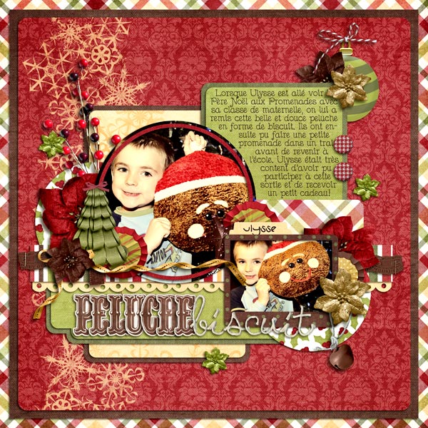 Cookie Stuffed Toy