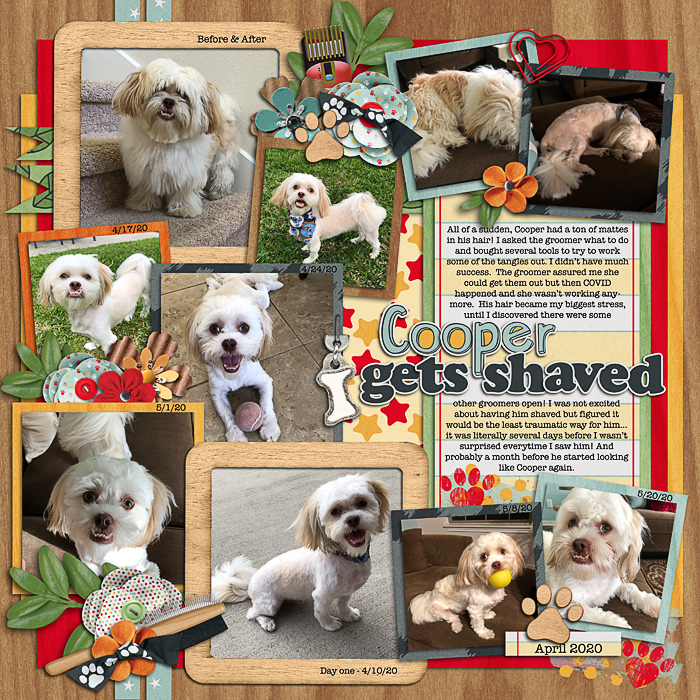 Cooper gets shaved