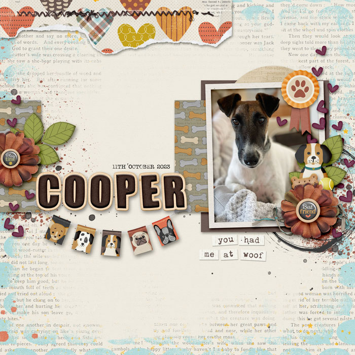Cooper