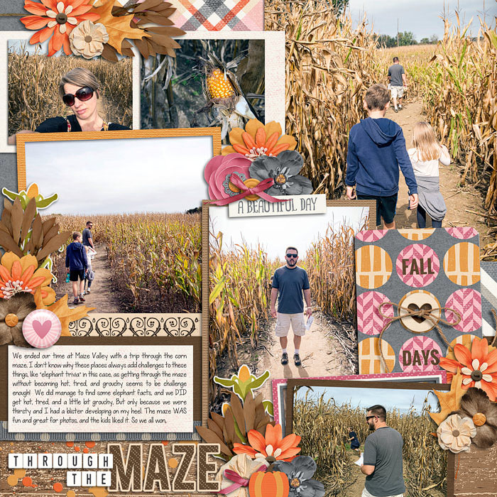 Corn Maze