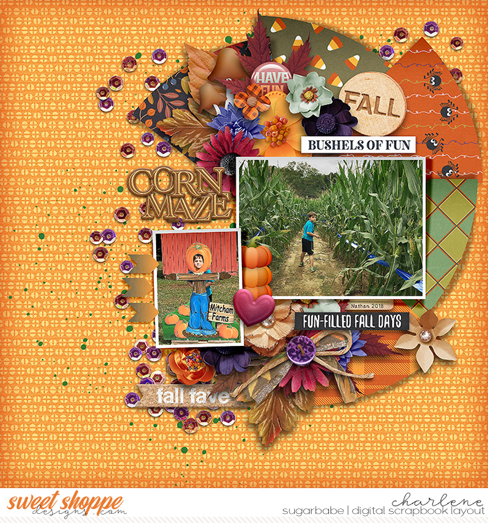 Corn Maze