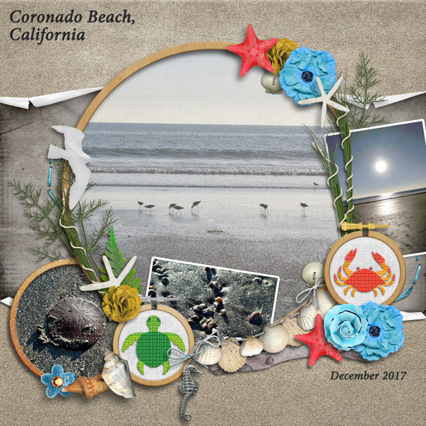 Coronado Beach