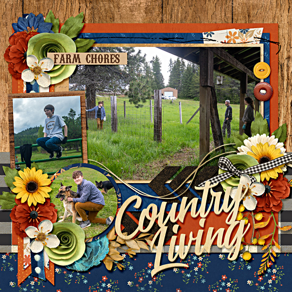 Country Chores