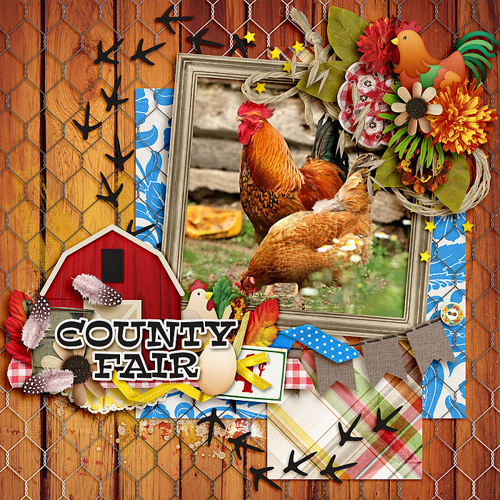 Country Fair