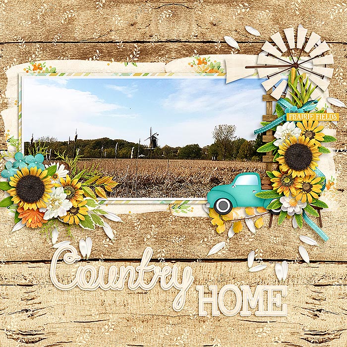 Country Home