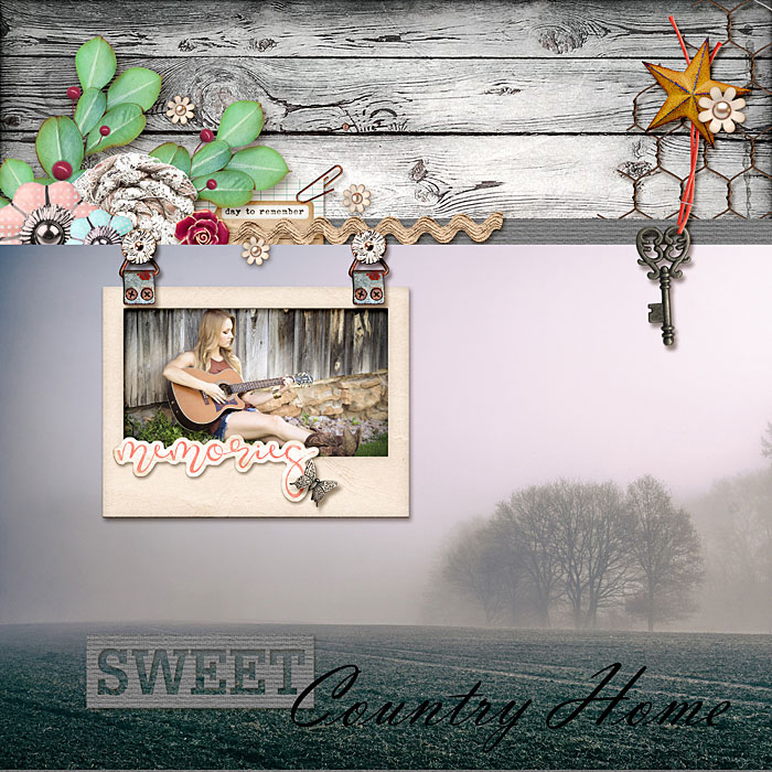 Country Home