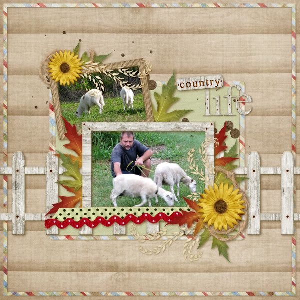 Country Life
