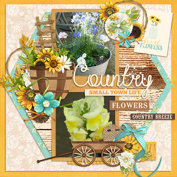 Country Living