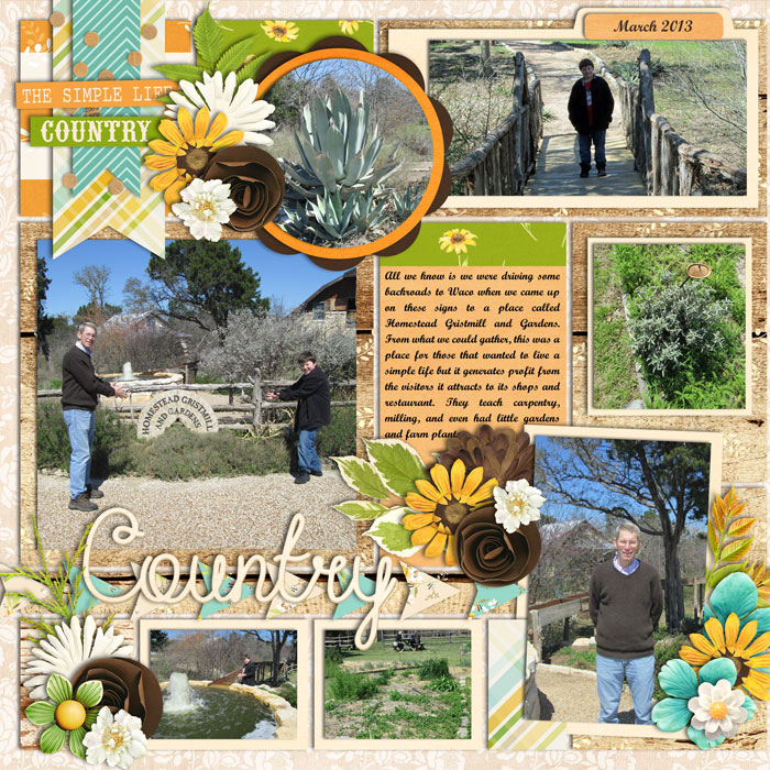 Country March 2013
