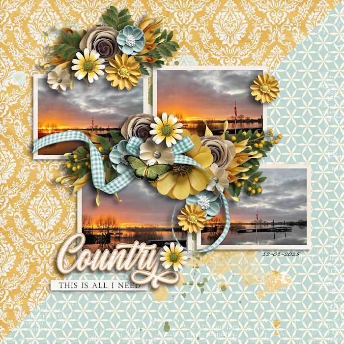 Country