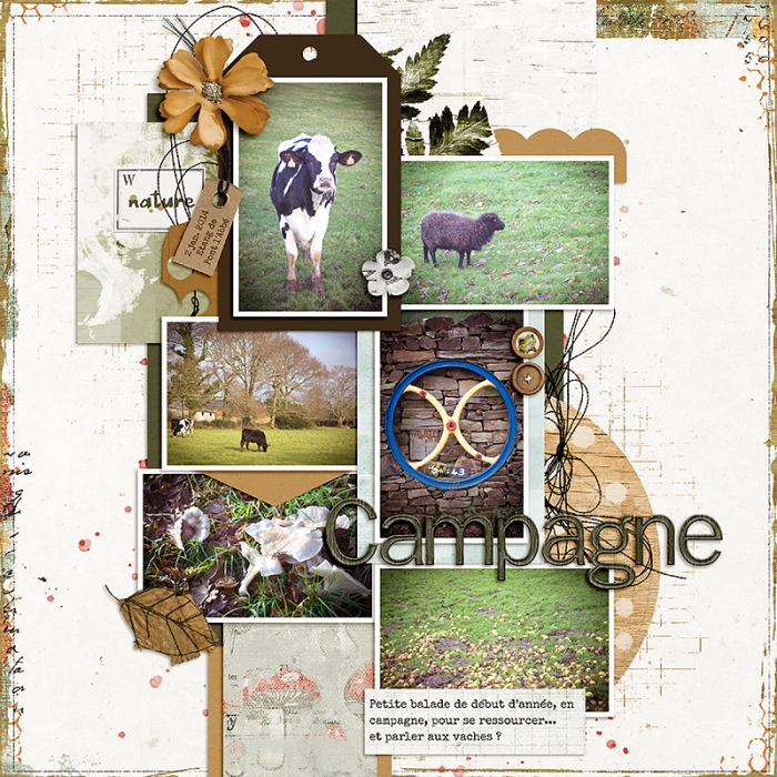 Countryside walk