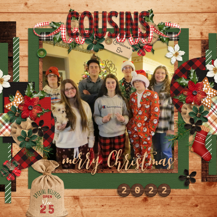 Cousins {Christmas 2022}