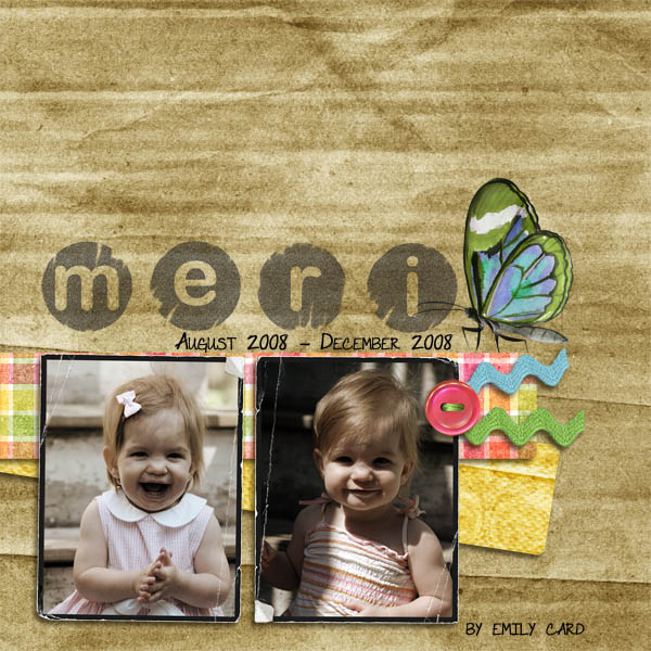 Cover for Meri's 2nd year book part 1