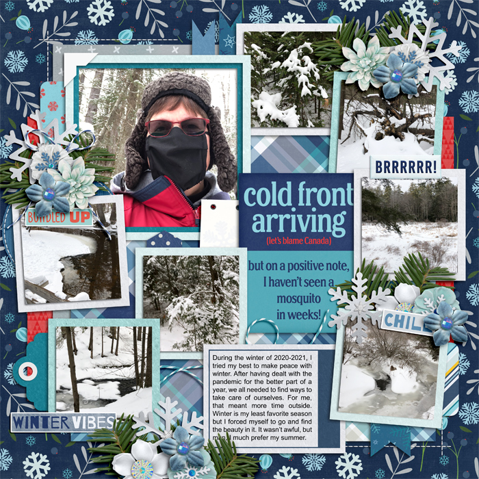 Covid Winter