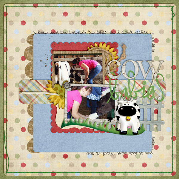 cow babies