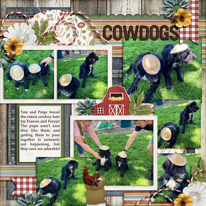 Cowdogs
