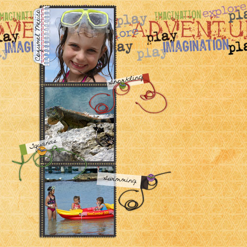Cozumel Adventure
