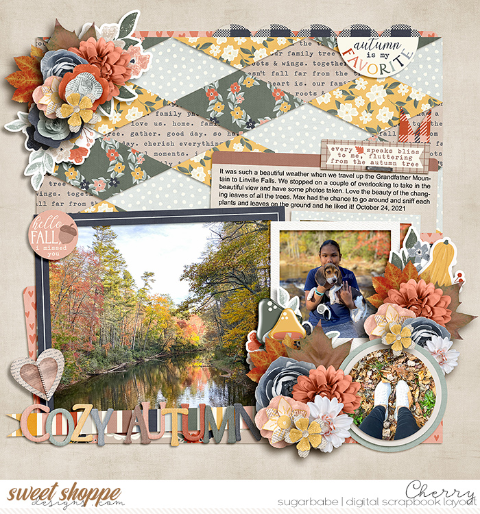 Cozy Autumn