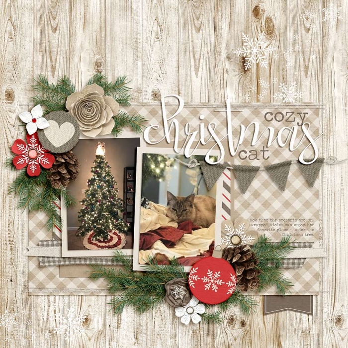 ~Cozy Christmas~
