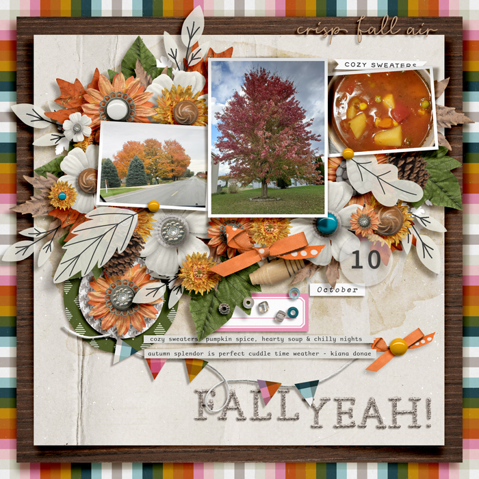 cozy fall