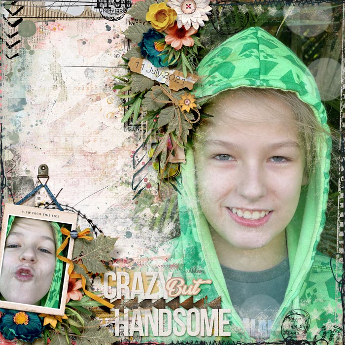Crazy but Handsome