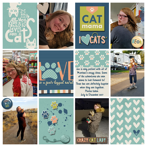 Crazy Cat Lady