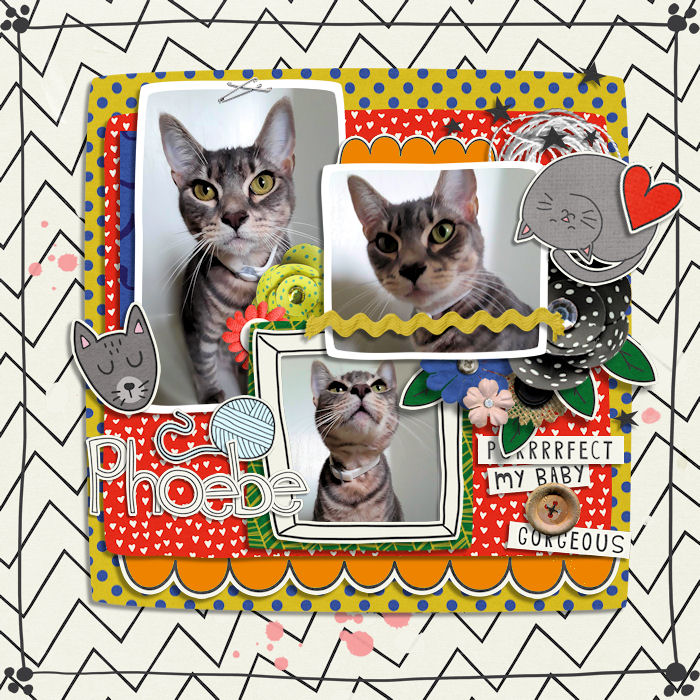 Crazy Cat Lady