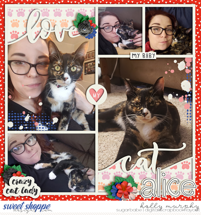 Crazy Cat Lady