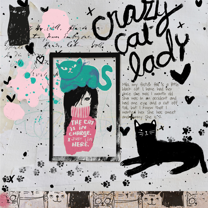 crazy cat lady
