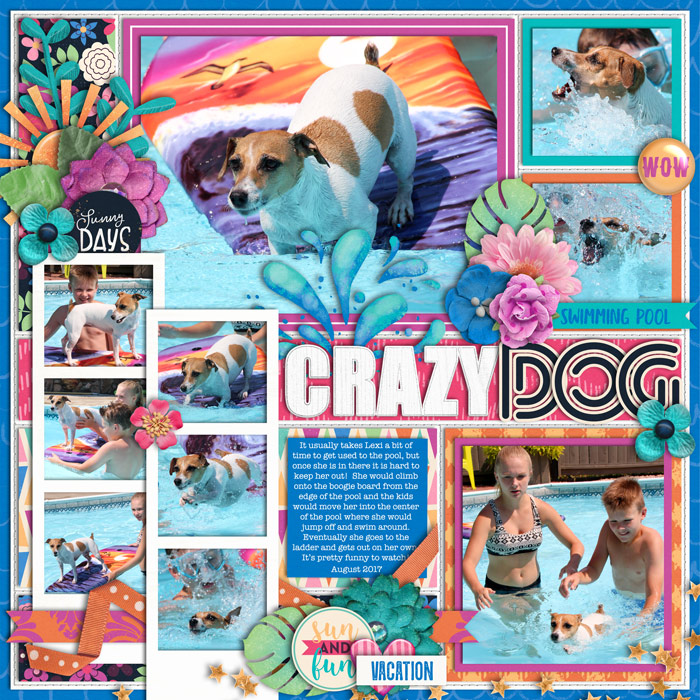 Crazy Dog