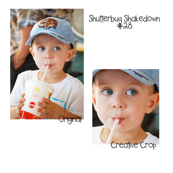 *Creative Crop* Shutterbug #28