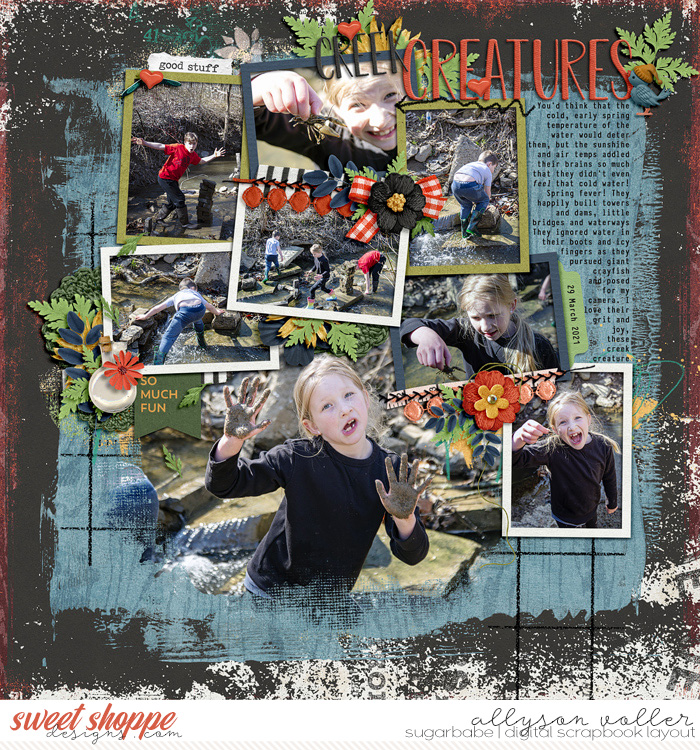 Creek Creatures