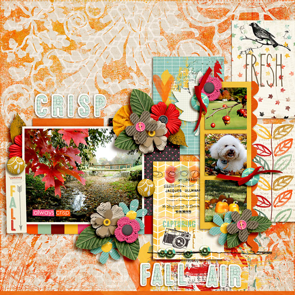 Crisp Fall Air