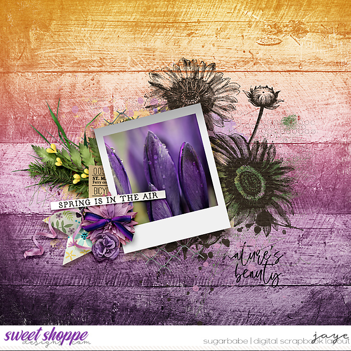 Crocus