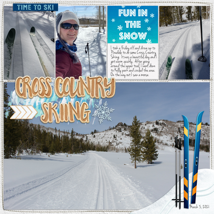 Cross Country Skiing