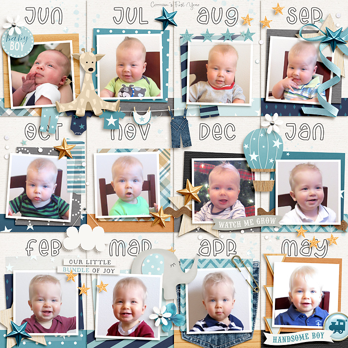C's First Year